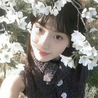 爱在猫咪疗愈时